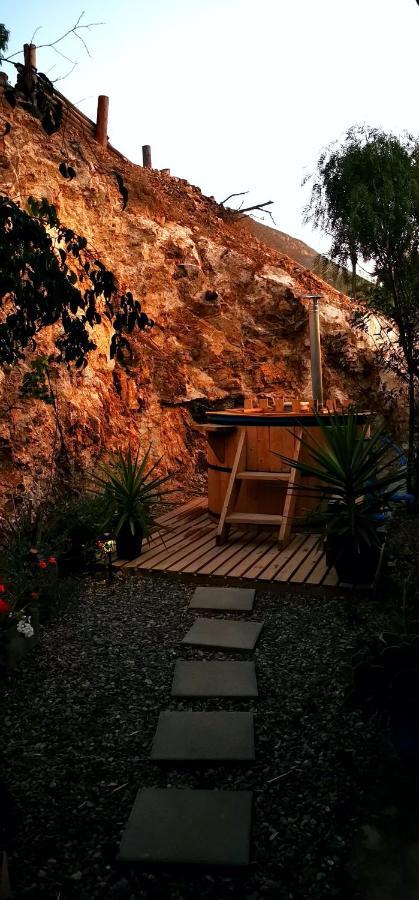 Casa Ollagua Otel Vicuña Dış mekan fotoğraf