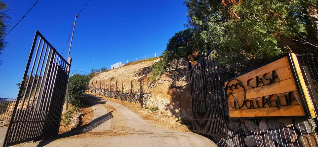 Casa Ollagua Otel Vicuña Dış mekan fotoğraf