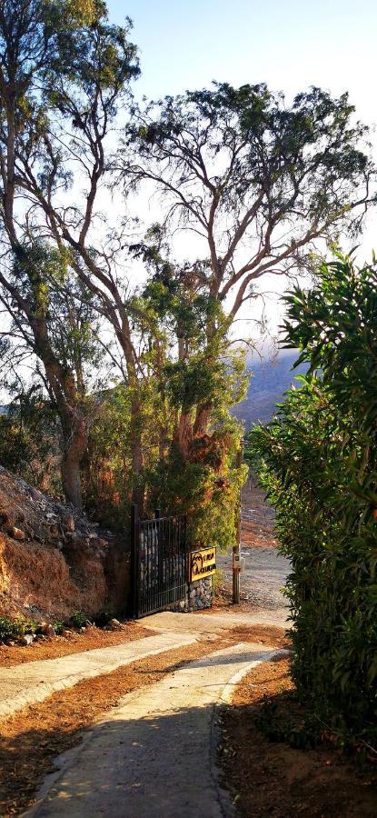 Casa Ollagua Otel Vicuña Dış mekan fotoğraf
