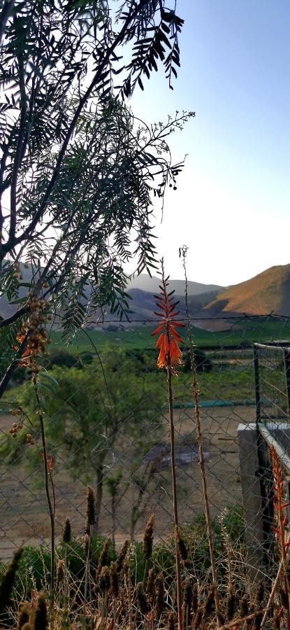 Casa Ollagua Otel Vicuña Dış mekan fotoğraf